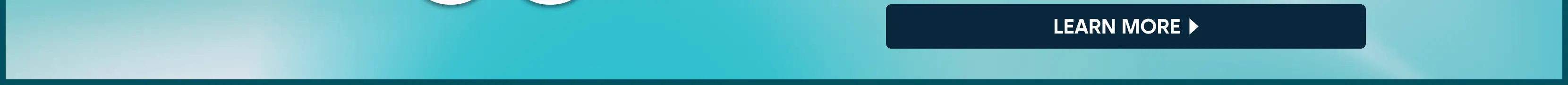 LEARN MORE button on a light blue gradient background.