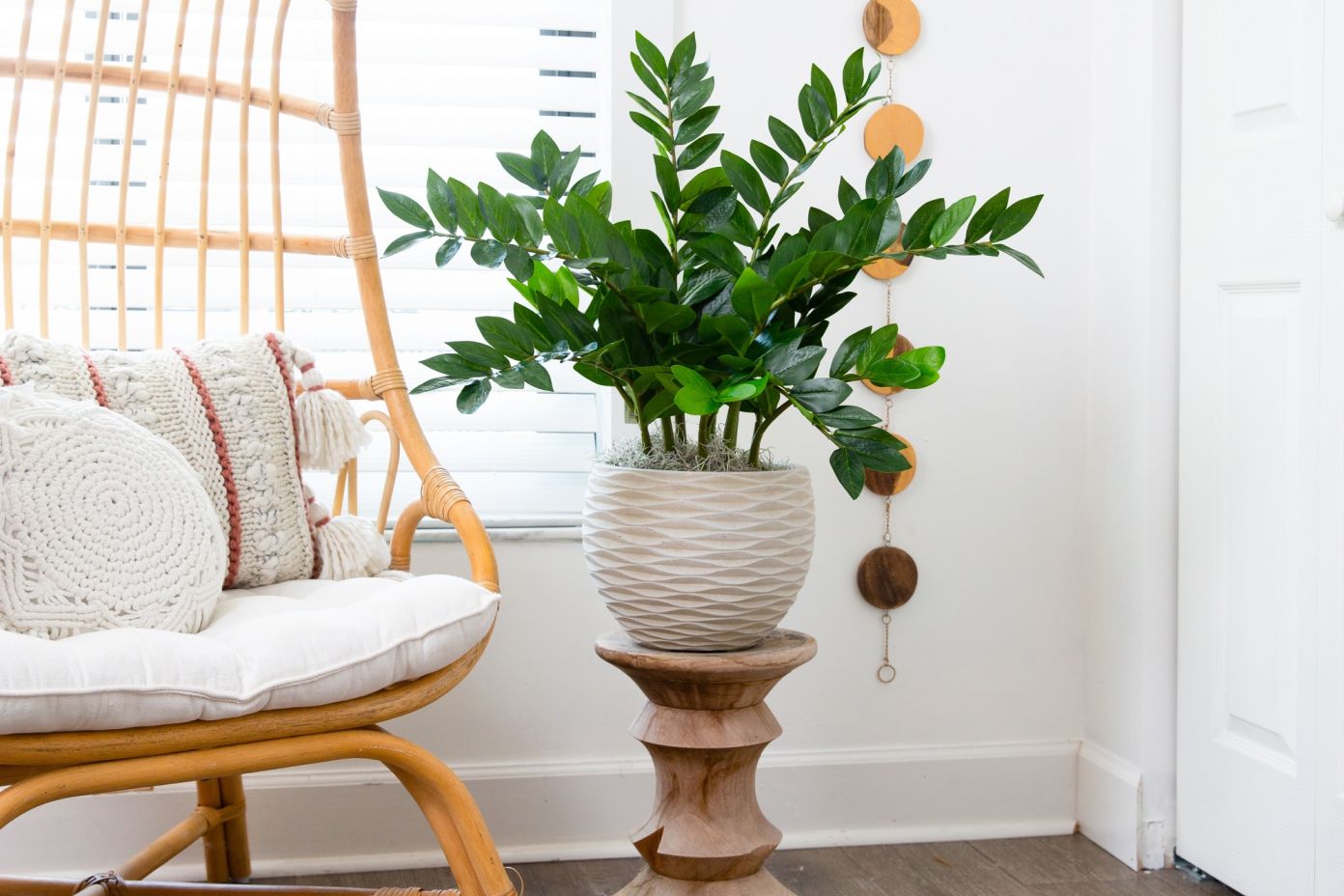 white chair with plant by it 