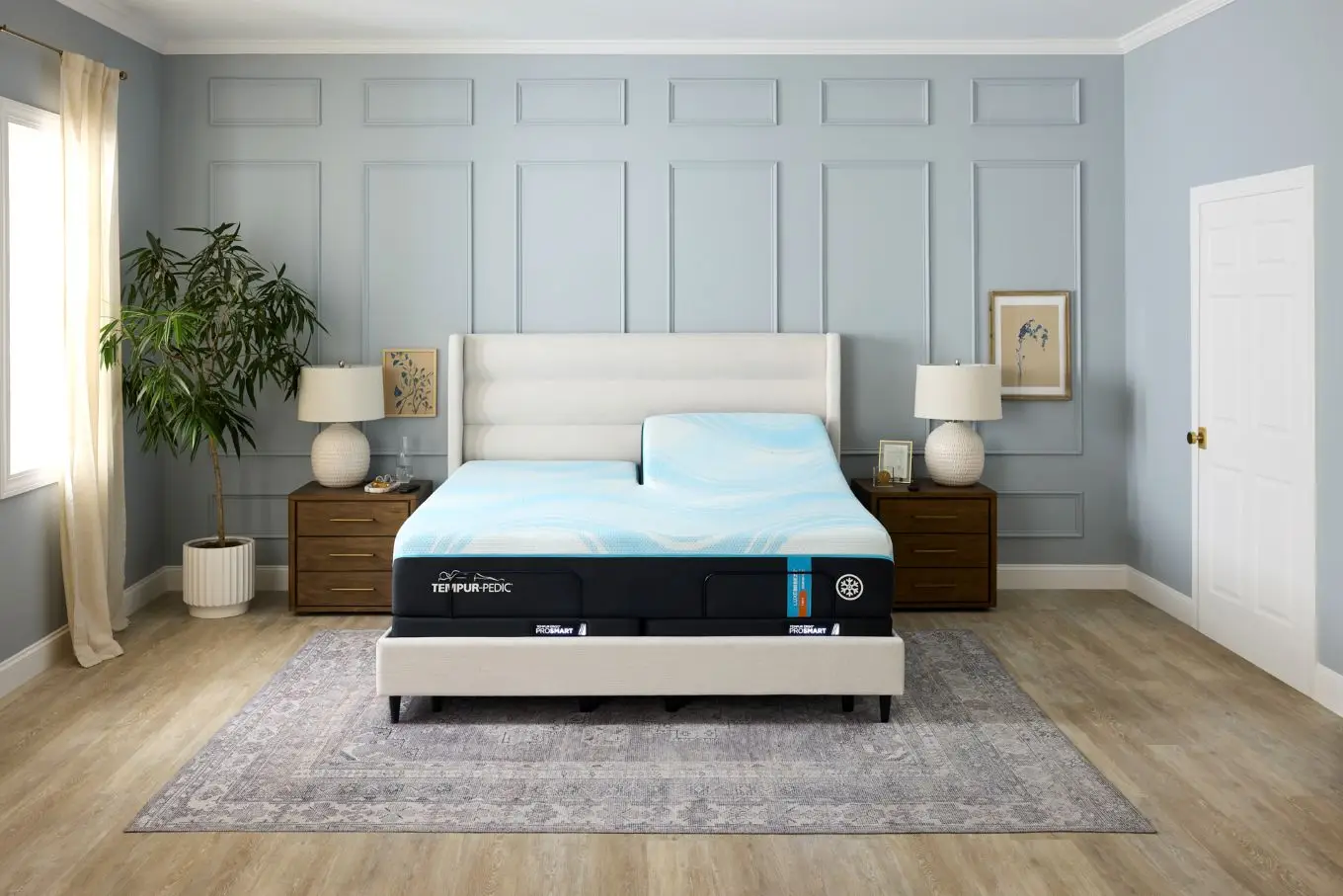 Tempur_Pedic_Collection.jpg
