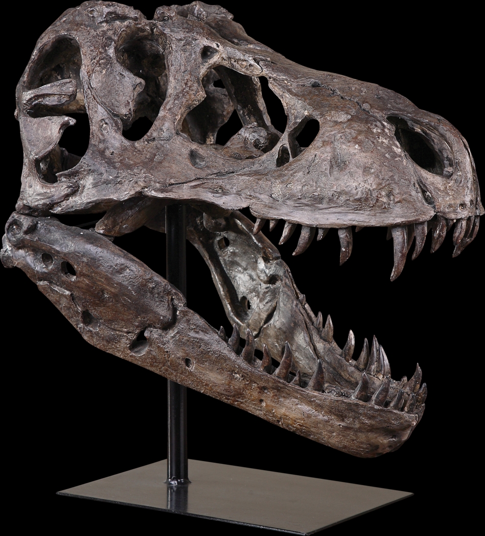 A Dinosaur's Past Gray Sculpture - Thumbnail - Image 1