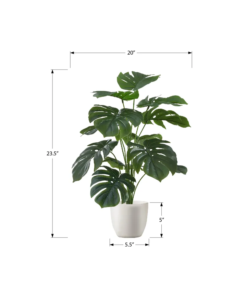 Aarav Green Silk Plant - Thumbnail - Image 3