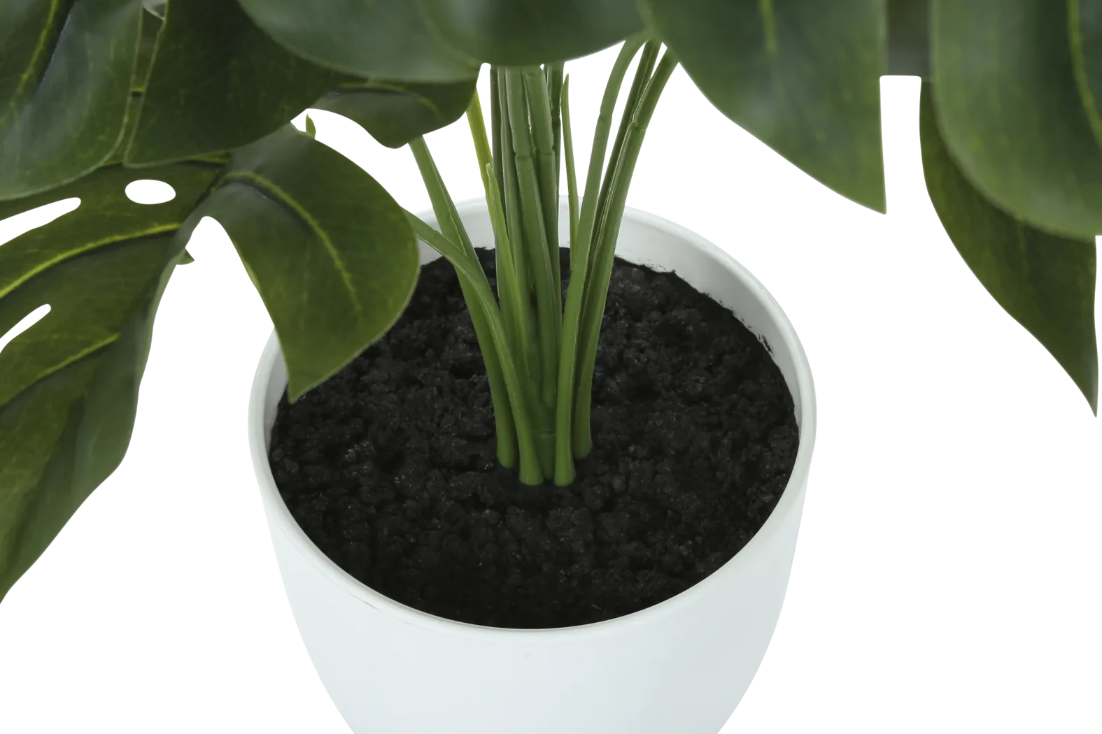 Aarav Green Silk Plant - Thumbnail - Image 4