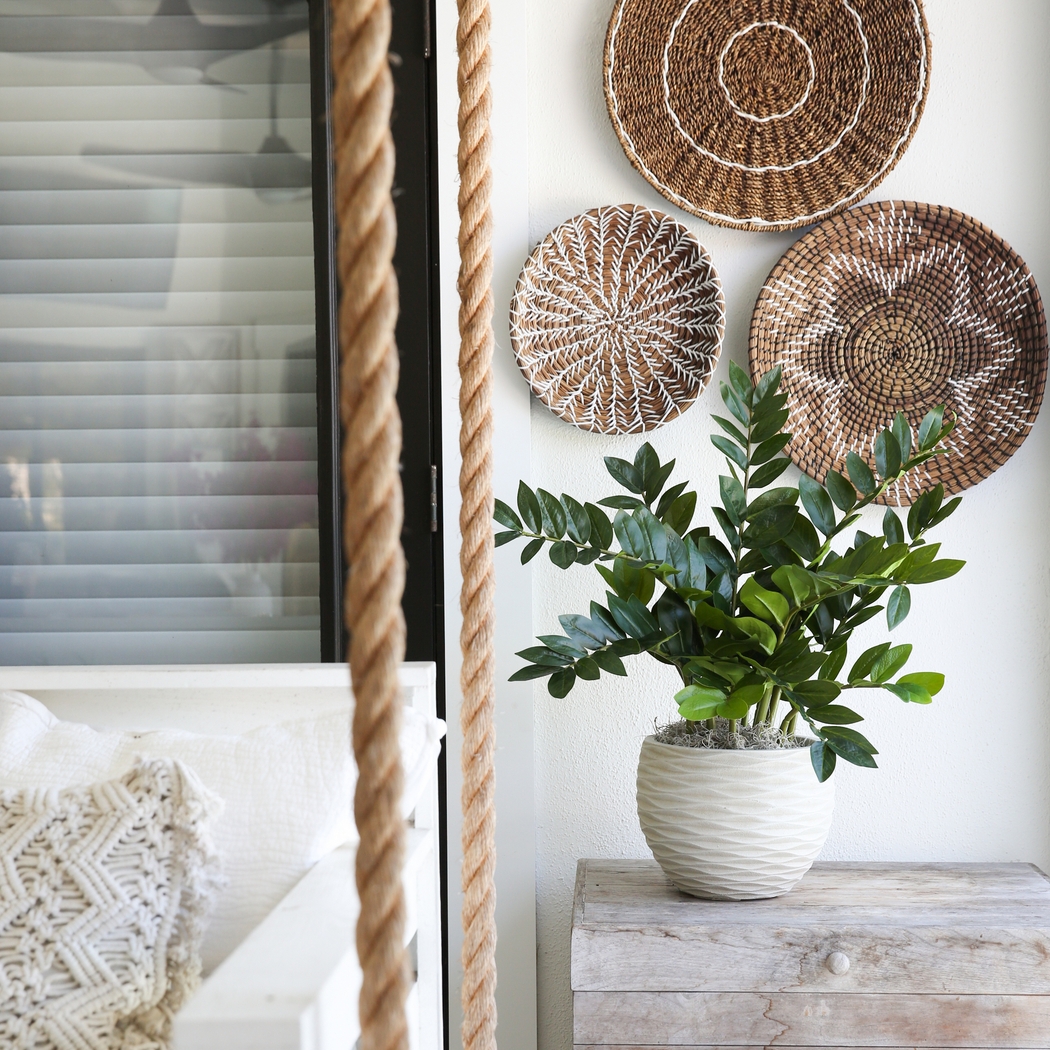 Abejorro Green Plant with Planter - Thumbnail - Image 6