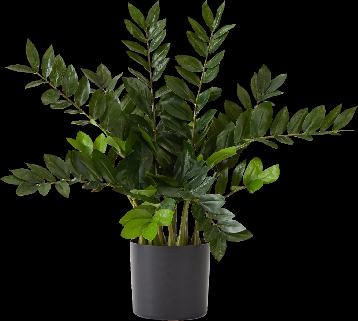 Abejorro Green Plant with Planter - Thumbnail - Image 1