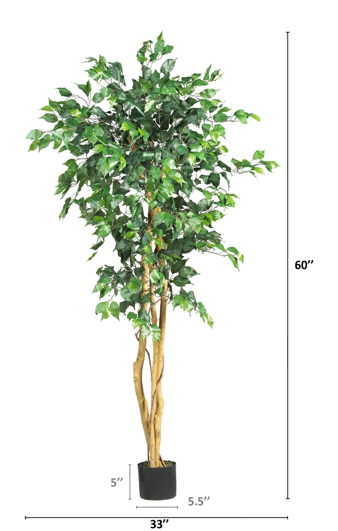 Adaliz Green Ficus Silk Tree - Thumbnail - Image 5