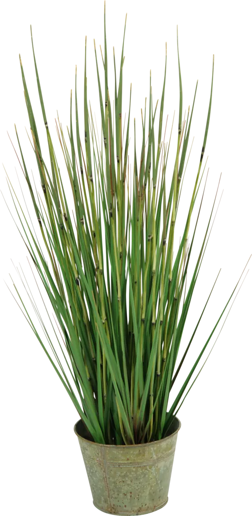 Aelyn Green Onion Grass Small Silk Plant - Thumbnail - Image 1