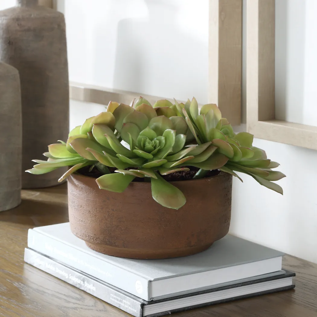 Agaki Brown Silk Plant - Thumbnail - Image 2