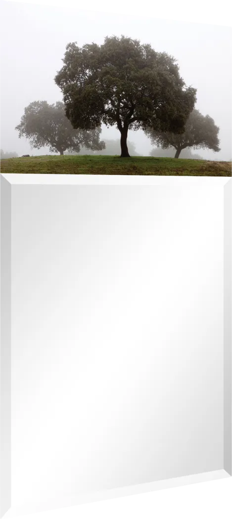 Airie's Forest Gray Mirror - Thumbnail - Image 2