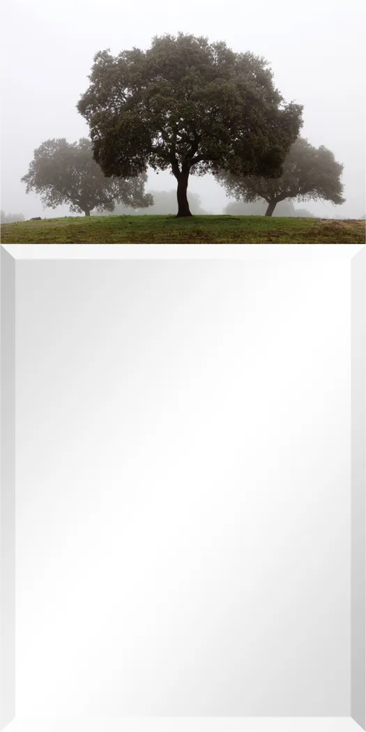 Airie's Forest Gray Mirror - Thumbnail - Image 1