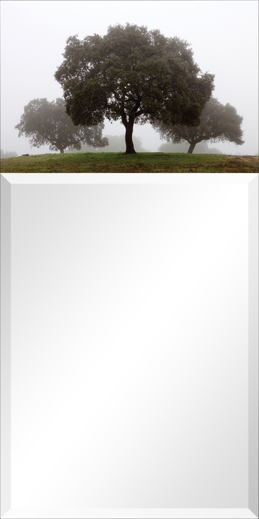 Airie's Forest Gray Mirror - Thumbnail - Image 1