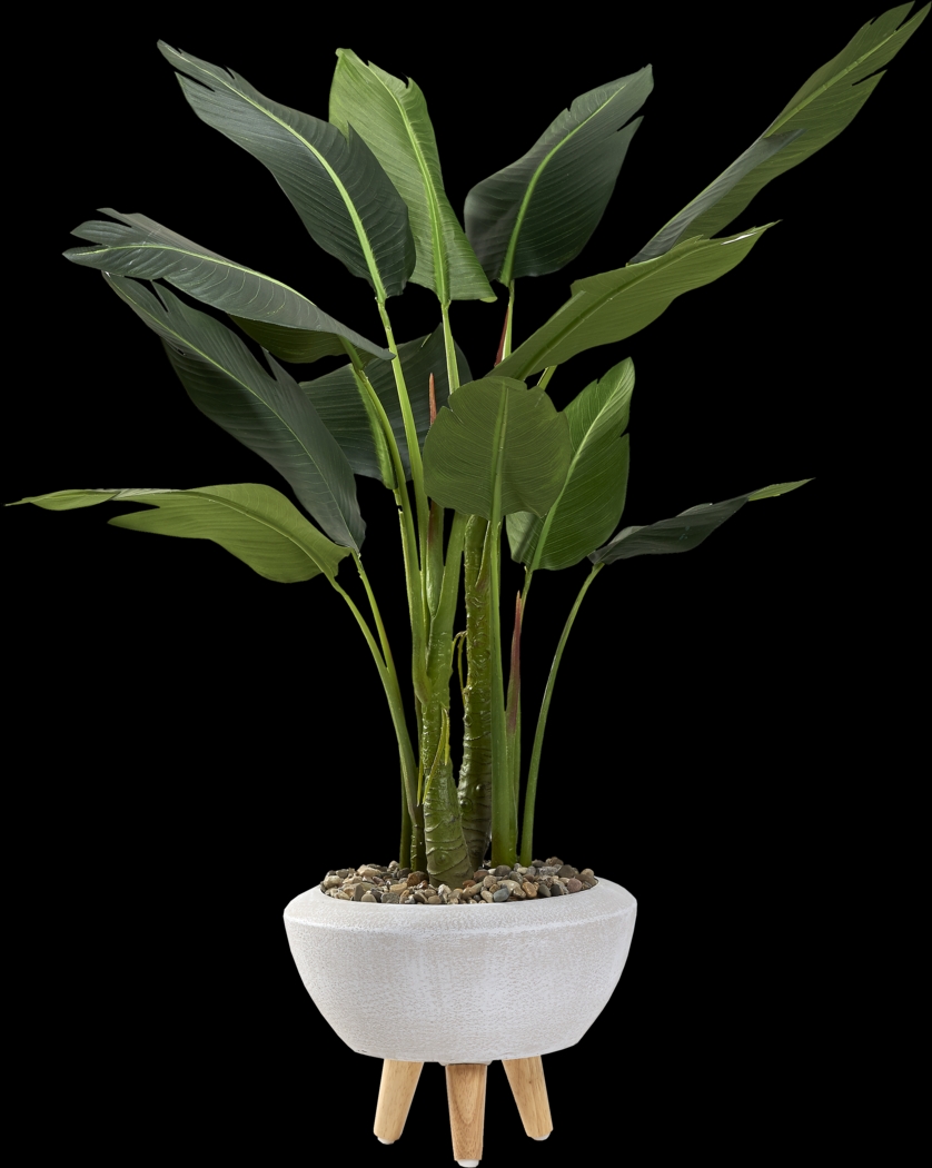 Akeby White Silk Plant - Thumbnail - Image 1