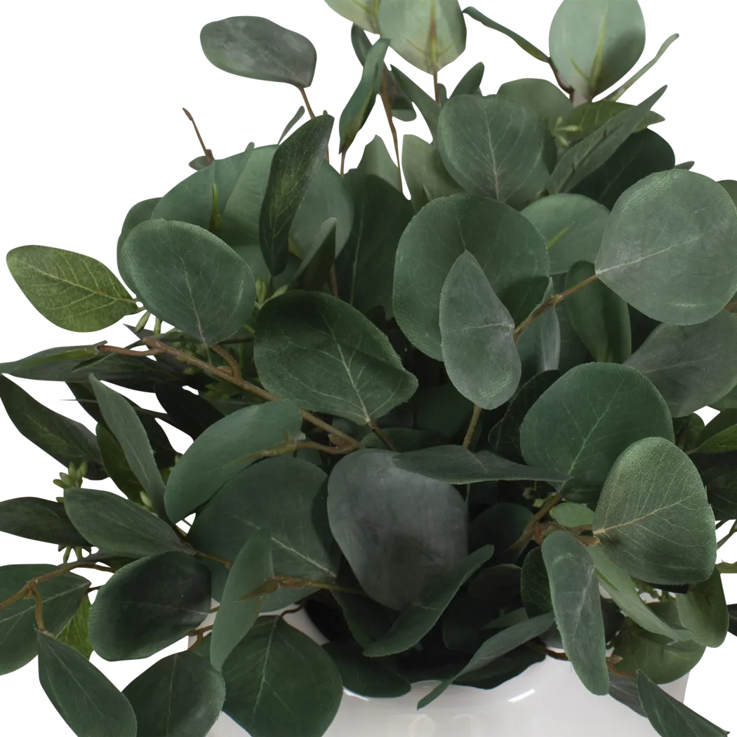 Akechi White Silk Plant - Thumbnail - Image 6