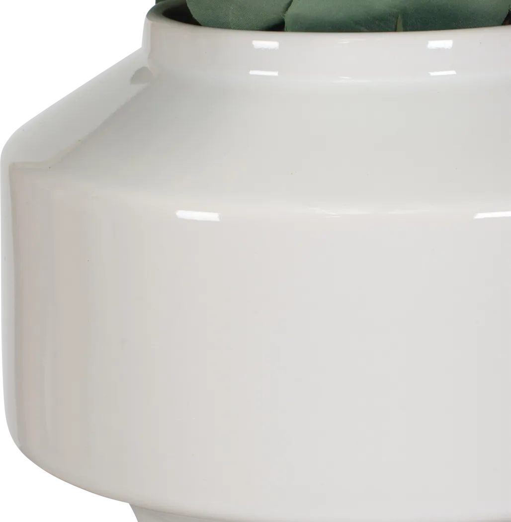 Akechi White Silk Plant - Thumbnail - Image 7