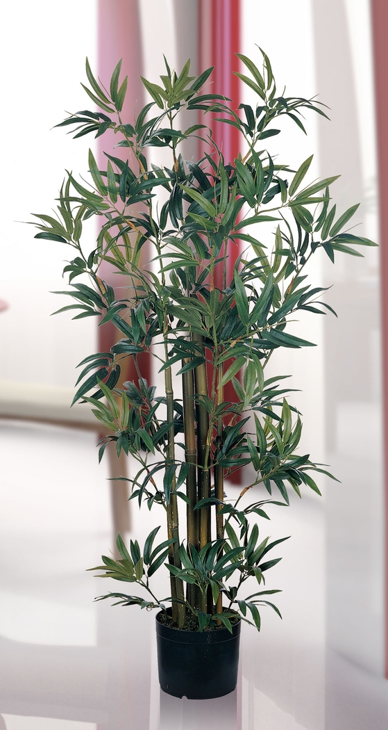 Akira Green Bamboo Silk Tree - Thumbnail - Image 2