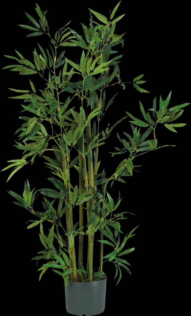Akira Green Bamboo Silk Tree - Thumbnail - Image 1