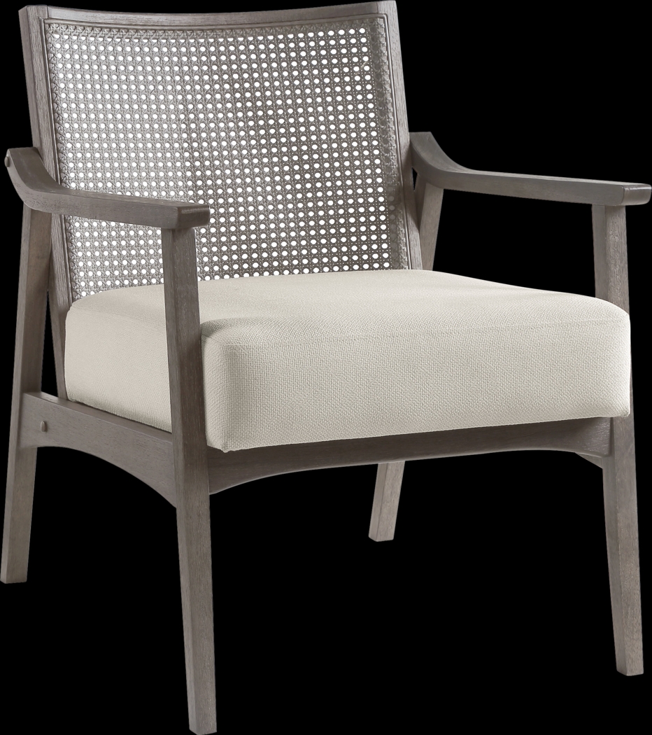 Alanios Gray Accent Chair - Thumbnail - Image 1
