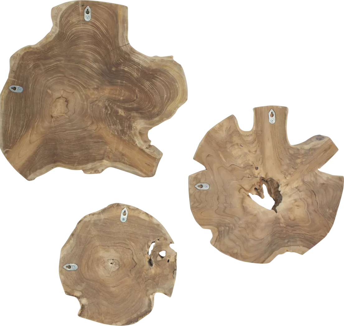 Alenia Natural Outdoor Wall Art, Set of 3 - Thumbnail - Image 3