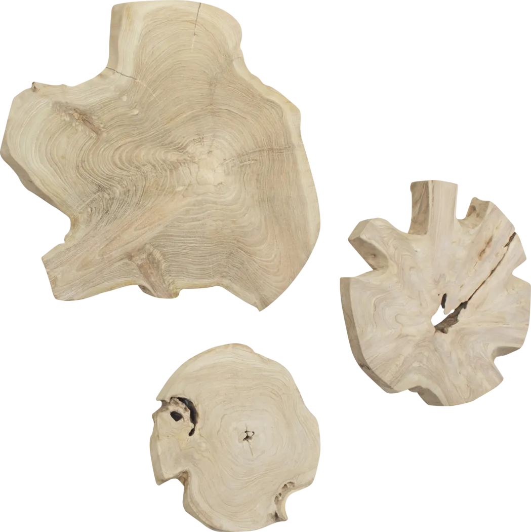 Alenia Natural Outdoor Wall Art, Set of 3 - Thumbnail - Image 4