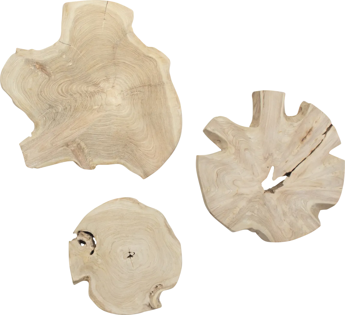 Alenia Natural Outdoor Wall Art, Set of 3 - Thumbnail - Image 1