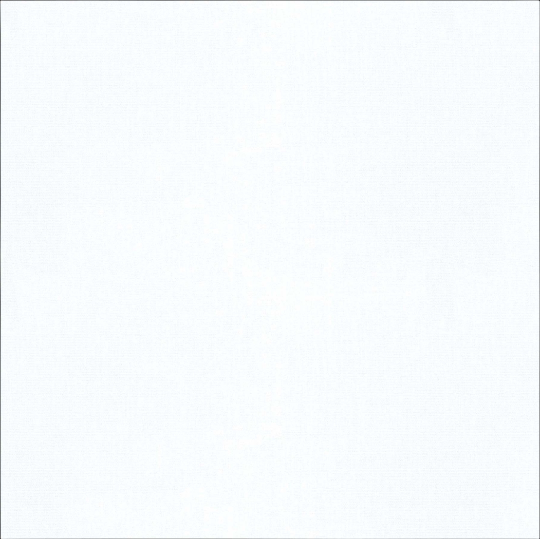 Aleta White California King Bed - Thumbnail - Image 5