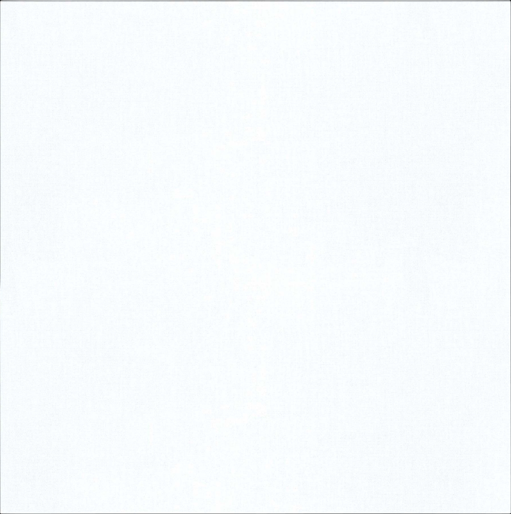 Aleta White Twin Bed - Thumbnail - Image 5