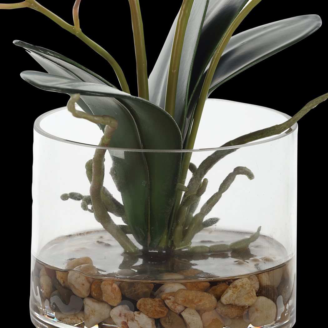 Alie Pink Plant - Thumbnail - Image 4