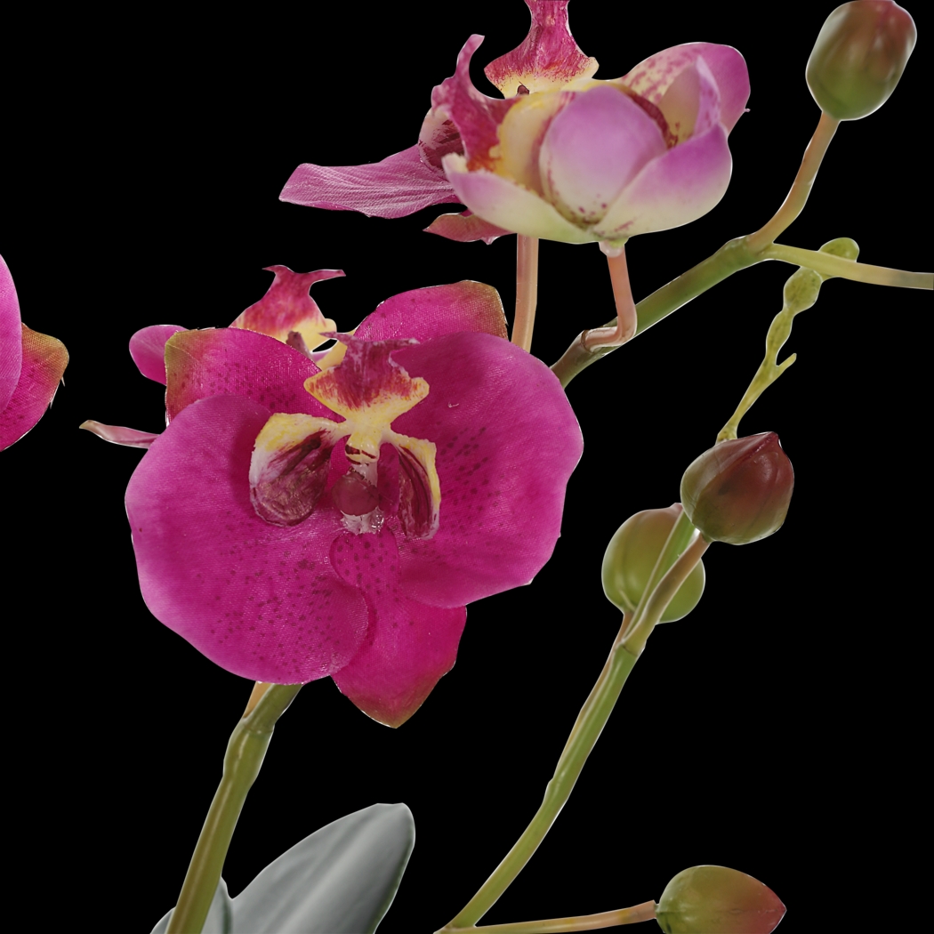 Alie Pink Plant - Thumbnail - Image 5