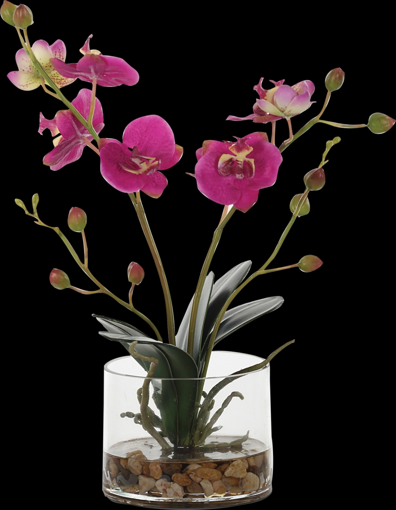 Alie Pink Plant - Thumbnail - Image 6