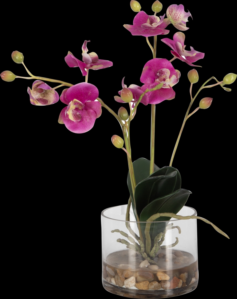 Alie Pink Plant - Thumbnail - Image 8