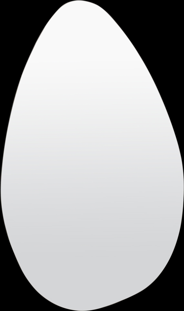 Aliede Black Irregular Wall Mirror - Thumbnail - Image 1