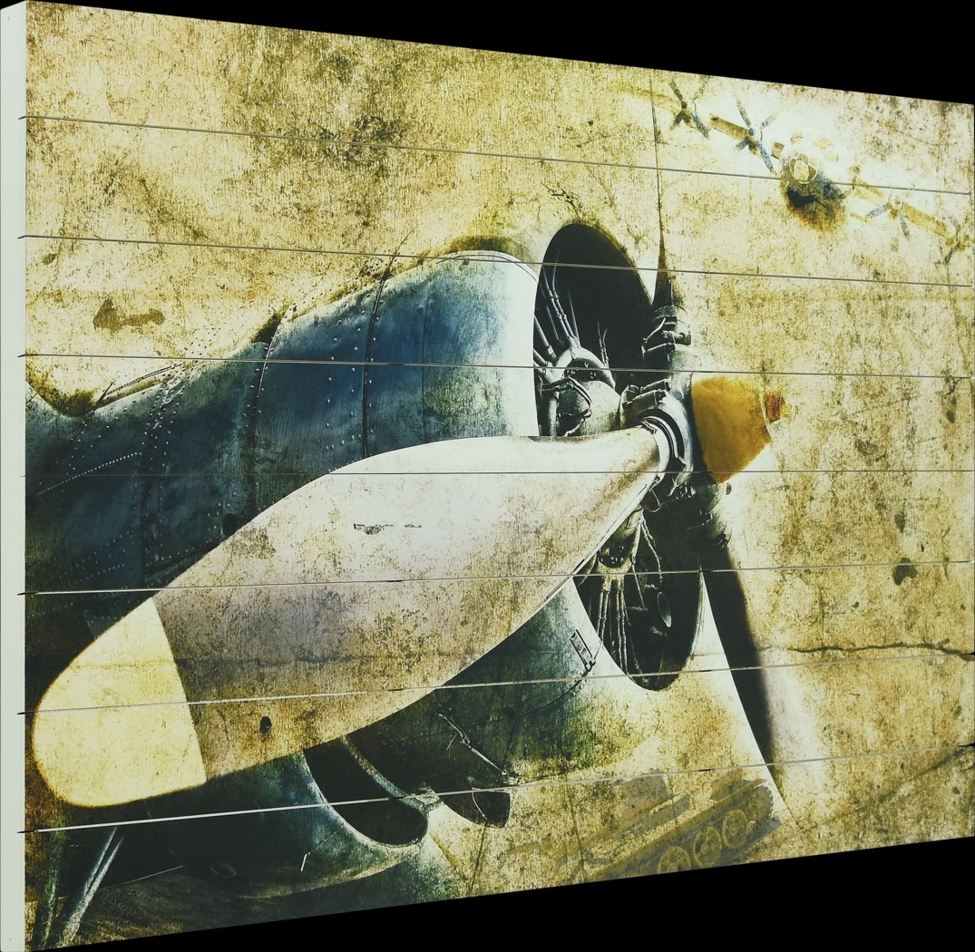 Alizeh Plane Artwork - Thumbnail - Image 2