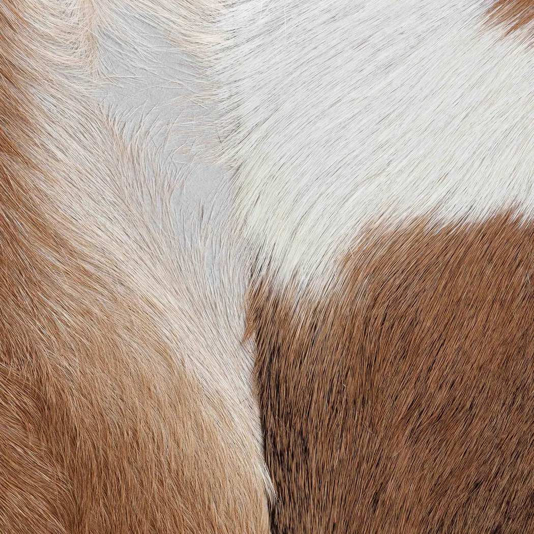 Allicoa Brown Ottoman - Thumbnail - Image 6