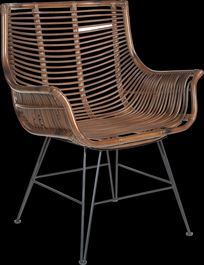 Alonan Brown Accent Chair - Thumbnail - Image 1