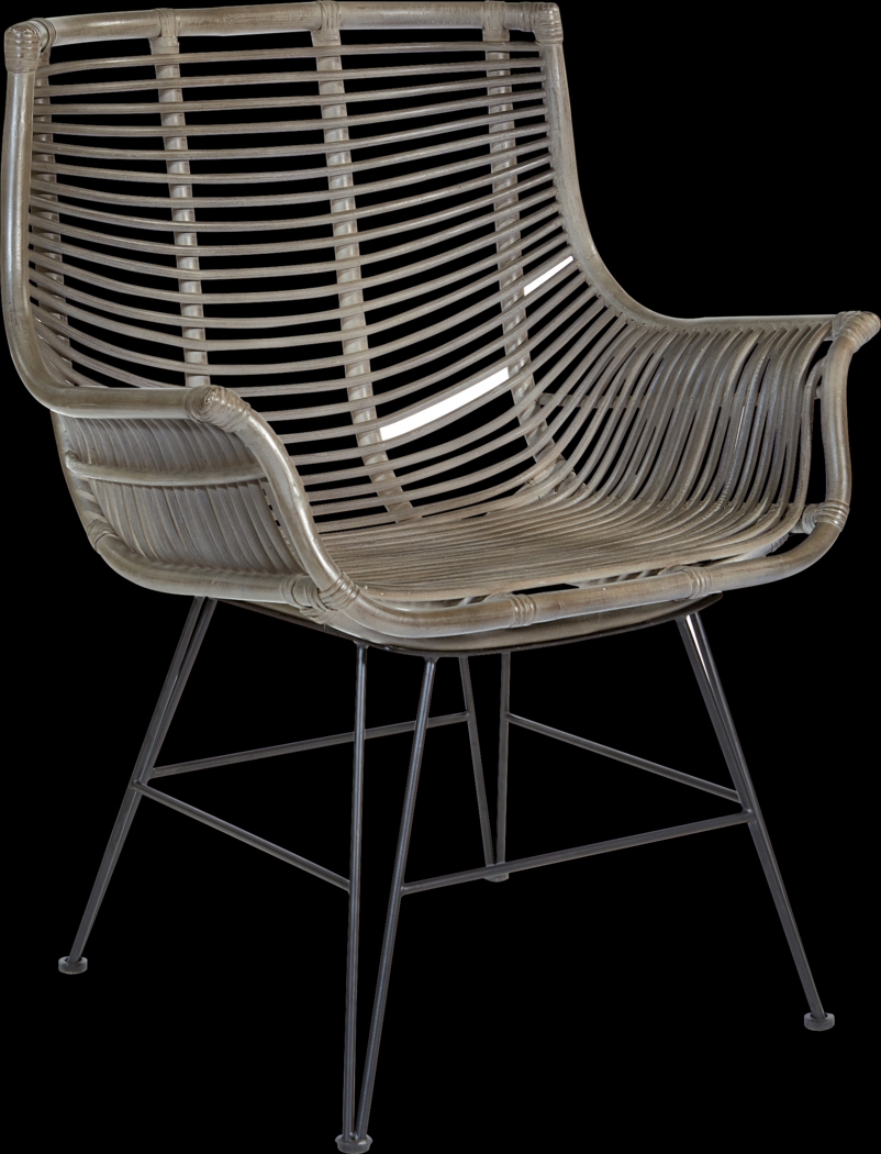 Alonan Gray Accent Chair - Thumbnail - Image 1