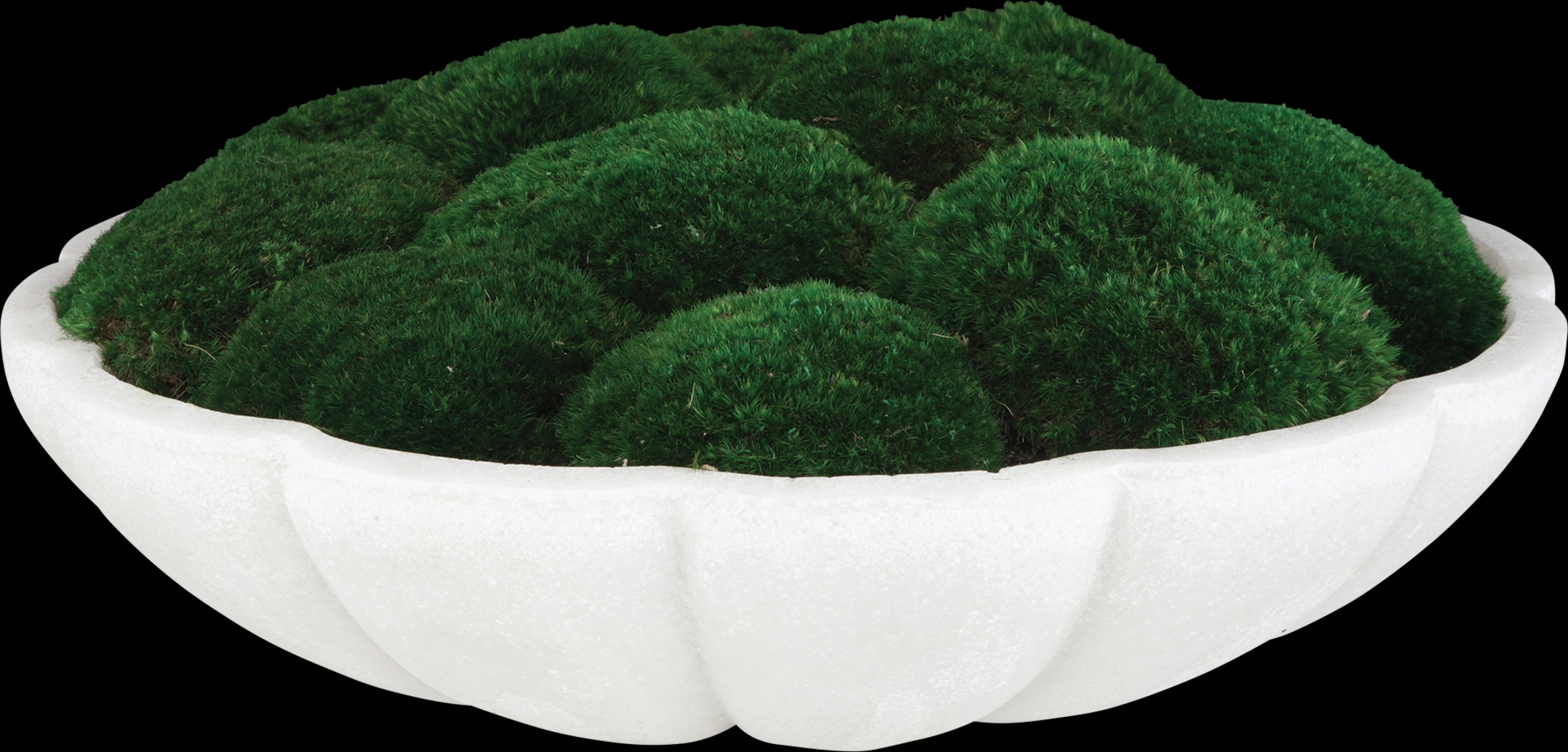 Alrine Green Silk Plant - Thumbnail - Image 1