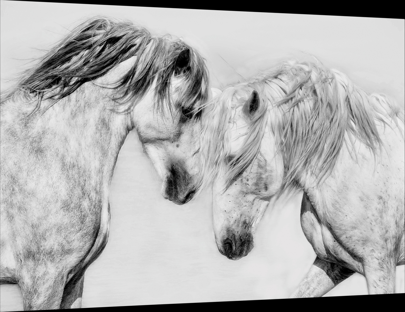 Altamount Multi Artwork - Thumbnail - Image 8