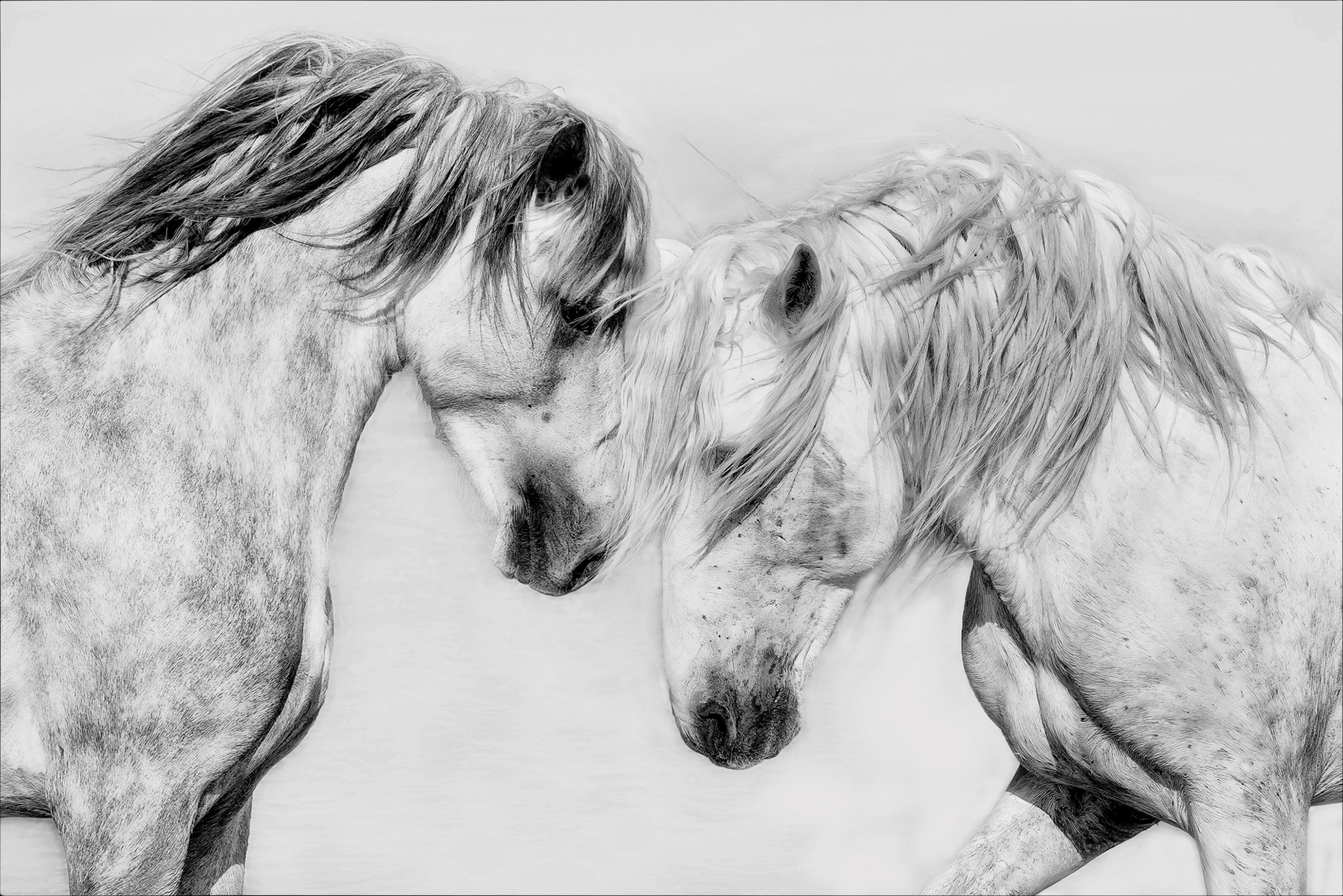 Altamount Multi Artwork - Thumbnail - Image 1