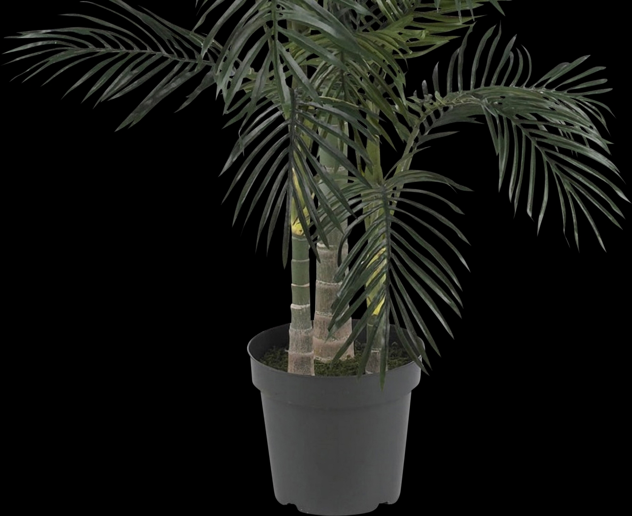 Alyjah Green Palm Silk Tree - Thumbnail - Image 2