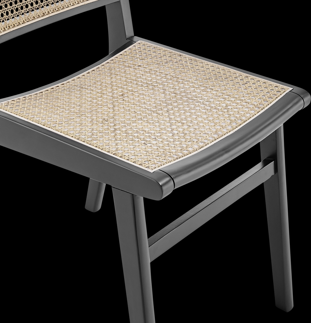 Alyssum Black Side Chair - Thumbnail - Image 8