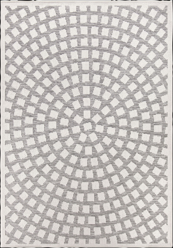 Amenia Gray 5'3 x 7'6 Rug - Thumbnail - Image 1