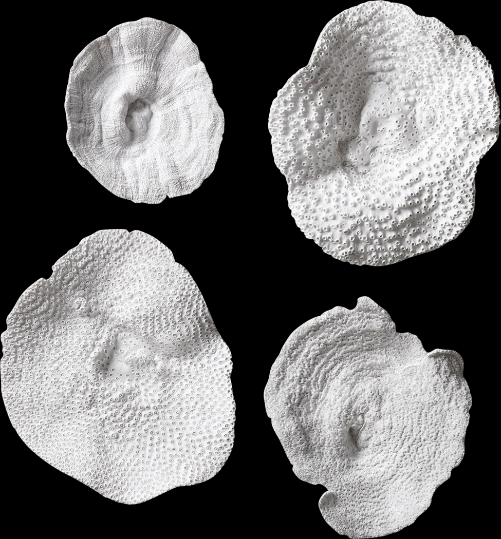 Amirah White Wall Decor, Set of 4 - Thumbnail - Image 1