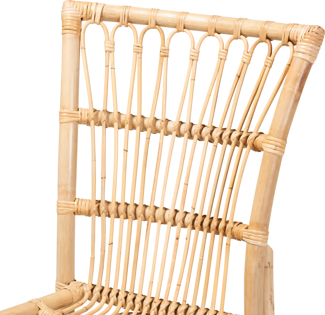 Amniora Brown Side Chair Set of 2 - Thumbnail - Image 5