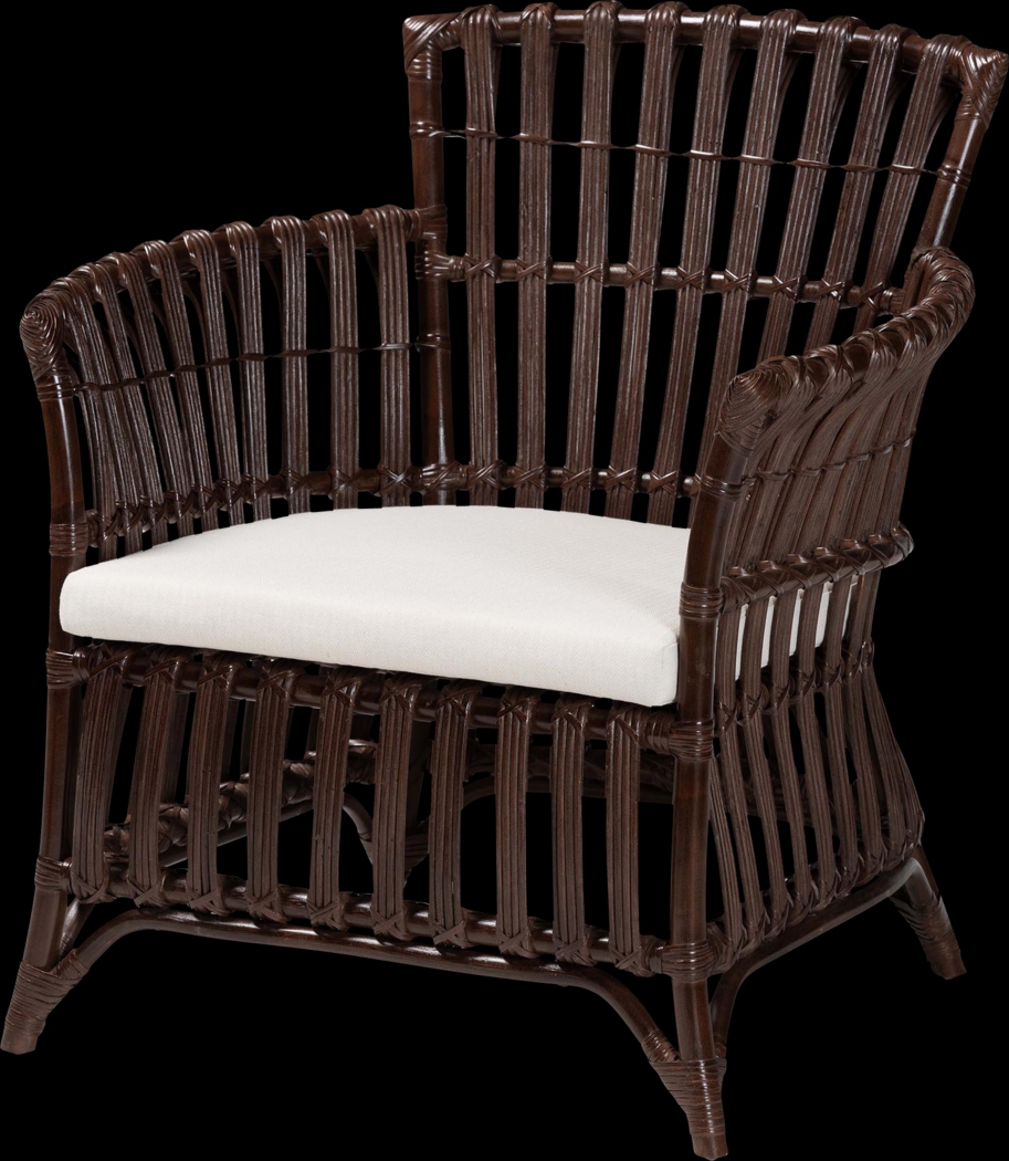 Angenese Dark Brown Accent Chair - Thumbnail - Image 1