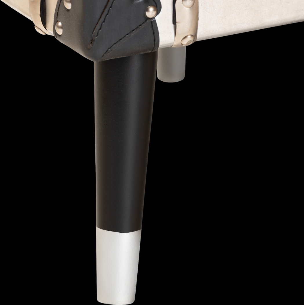 Anihinga Silver Accent Cabinet - Thumbnail - Image 9