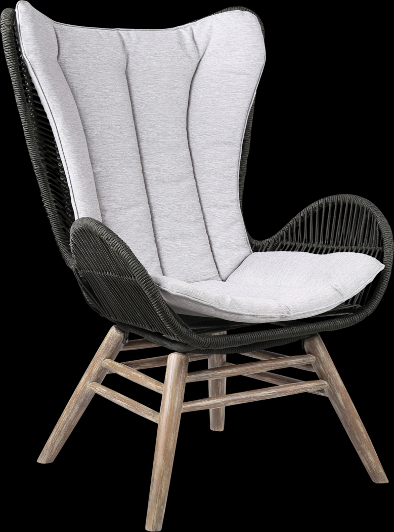 Anlynn Light Gray Outdoor Lounge Chair - Thumbnail - Image 1