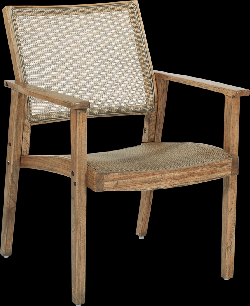 Antania Brown Accent Chair - Thumbnail - Image 1