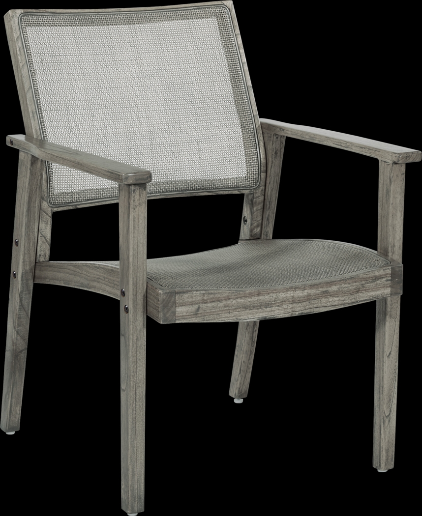 Antania Gray Accent Chair - Thumbnail - Image 1