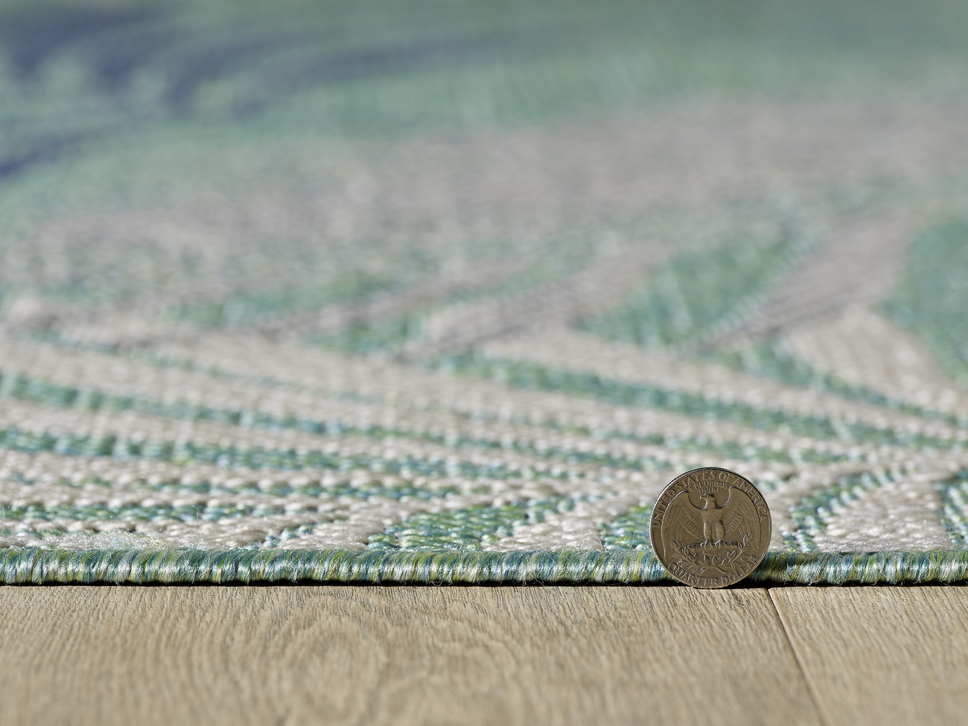 Antawa Aqua 7'10 x 10'10 Indoor/Outdoor Rug - Thumbnail - Image 3