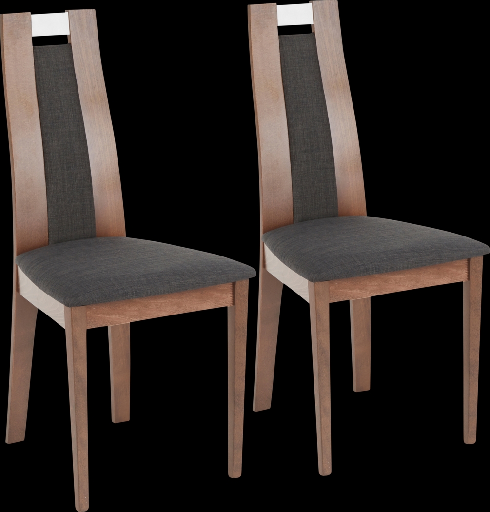 Anthus Charcoal Side Chair, Set of 2 - Thumbnail - Image 1