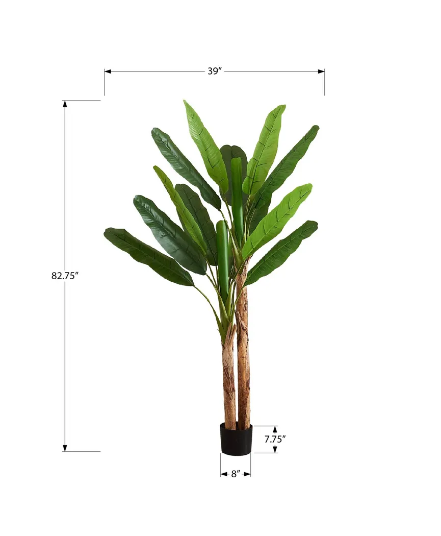 Anya Green Silk Plant - Thumbnail - Image 3